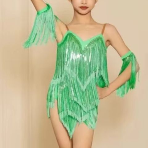 New Latin Performance Dance Dr - Outdoor Sport Dress recensie en prijs
